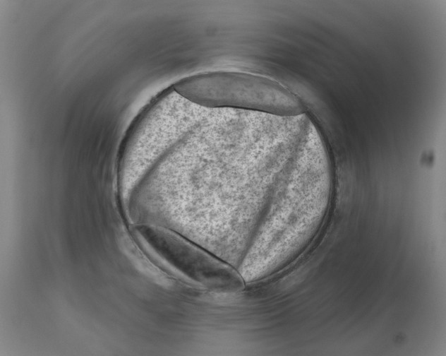 X0000112801280200909181528