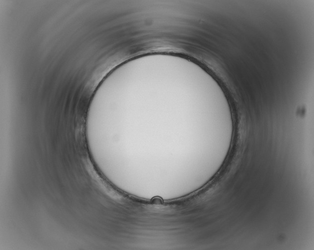 X0000112801281200909181528