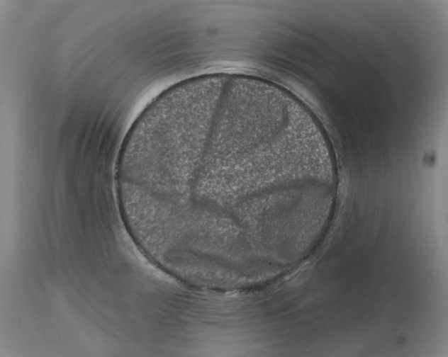 X0000112801283200909181528