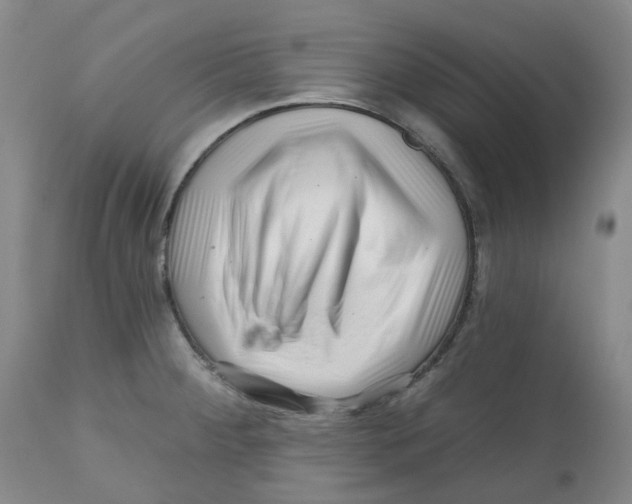 X0000112801284200909181528