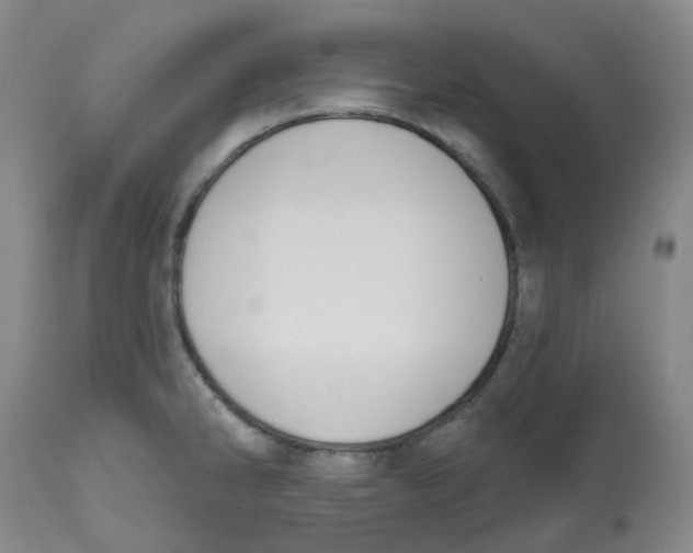 X0000112801286200909181528