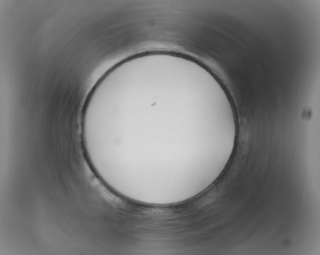 X0000112801287200909181528