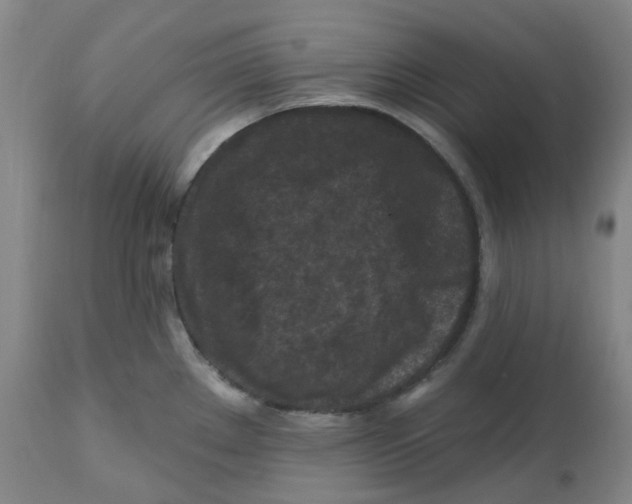 X0000112801289200909181528