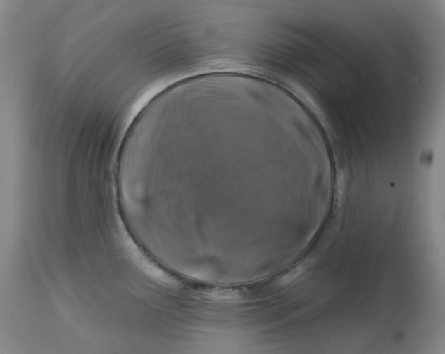 X0000112801291200909181528
