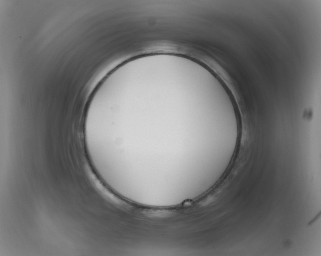 X0000112801293200909181528