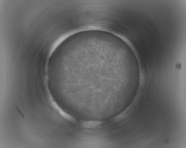 X0000112801294200909181528