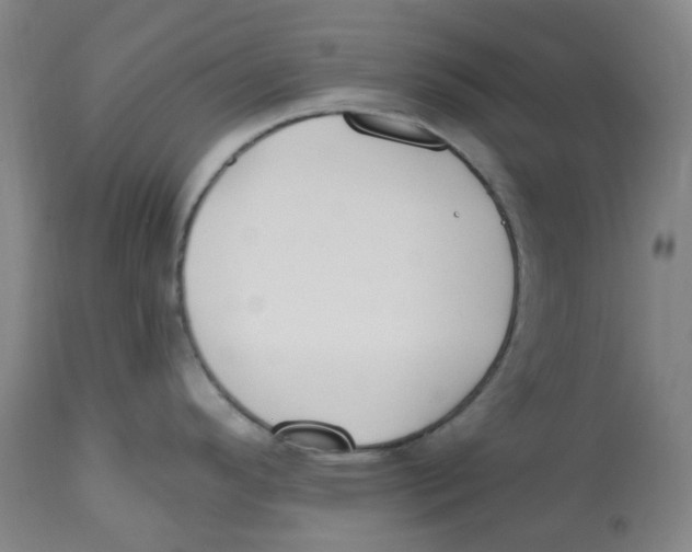X0000112801296200909181528