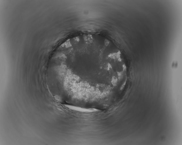 X0000112801297200909181527