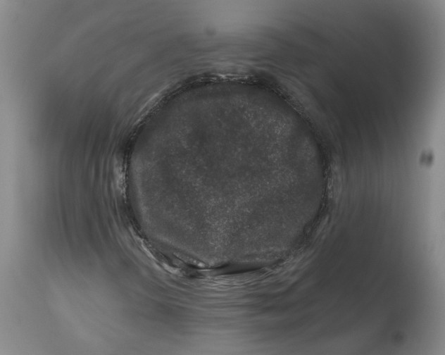 X0000112801298200909181527