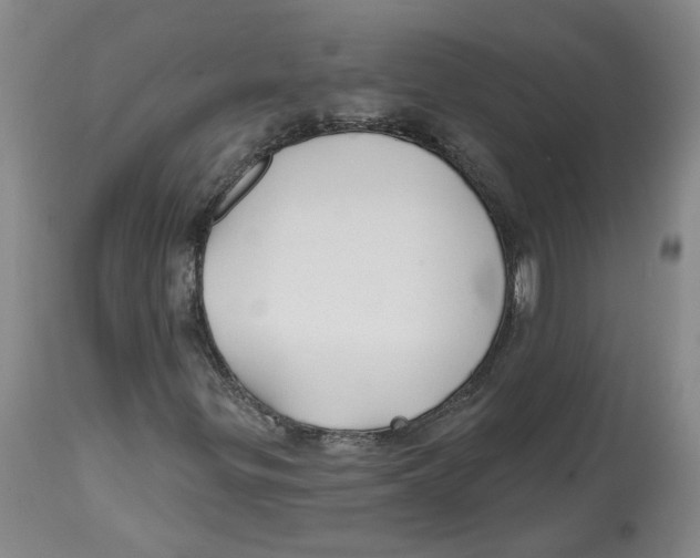 X0000112801299200909181527