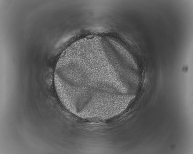 X0000112801301200909181527
