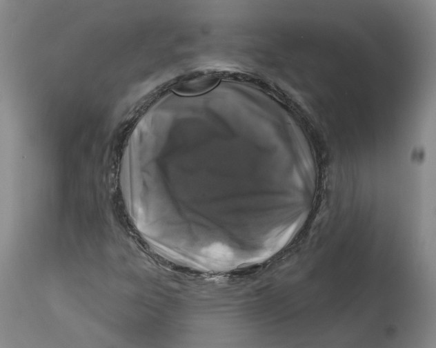 X0000112801303200909181527