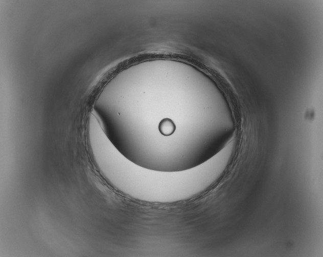 X0000112801304200909181527