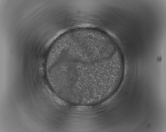 X0000112801305200909181527