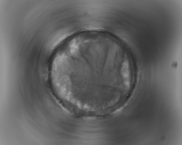 X0000112801306200909181527