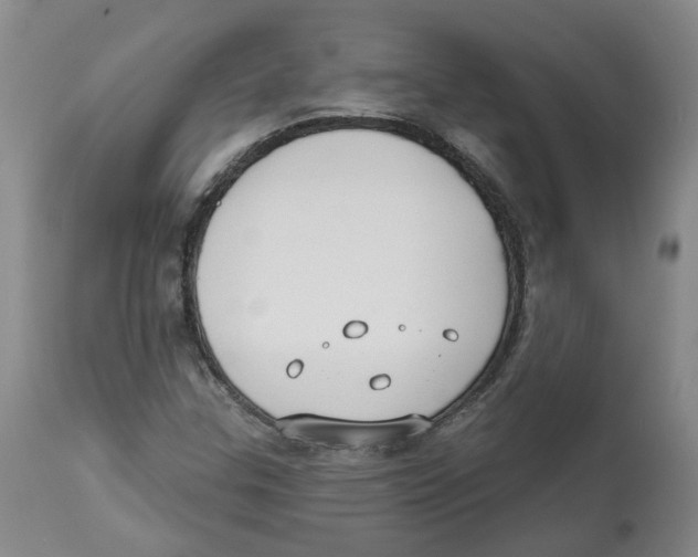 X0000112801307200909181527