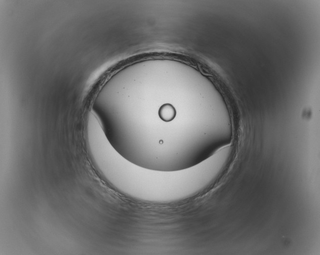 X0000112801310200909181527