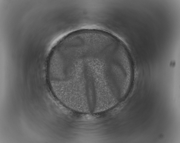 X0000112801311200909181527