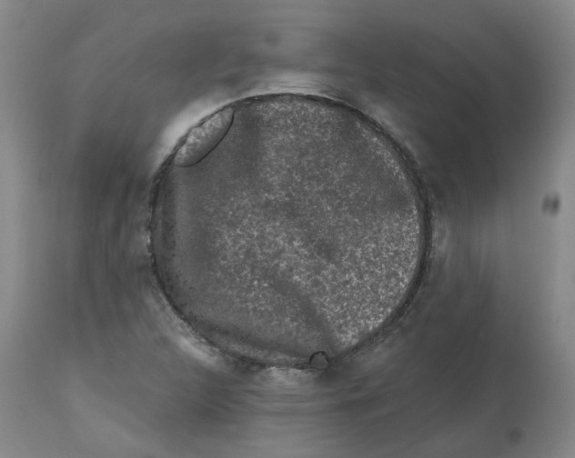 X0000112801312200909181527
