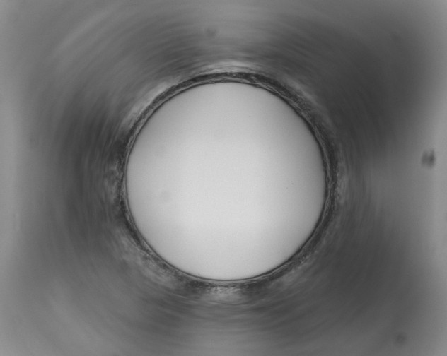 X0000112801313200909181527