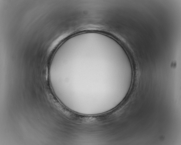 X0000112801317200909181527