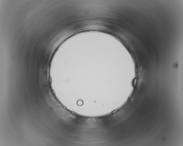 X0000112801322200909181527