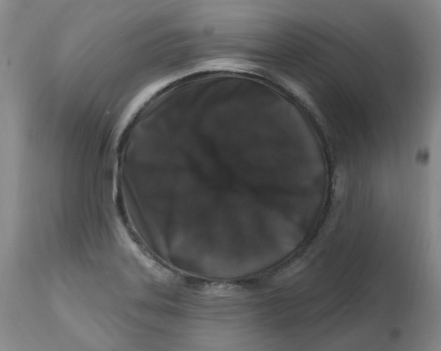 X0000112801323200909181527