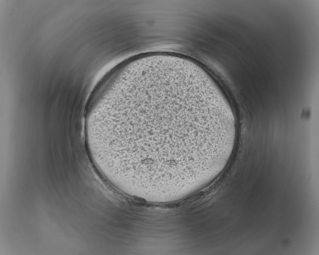 X0000112801324200909181527
