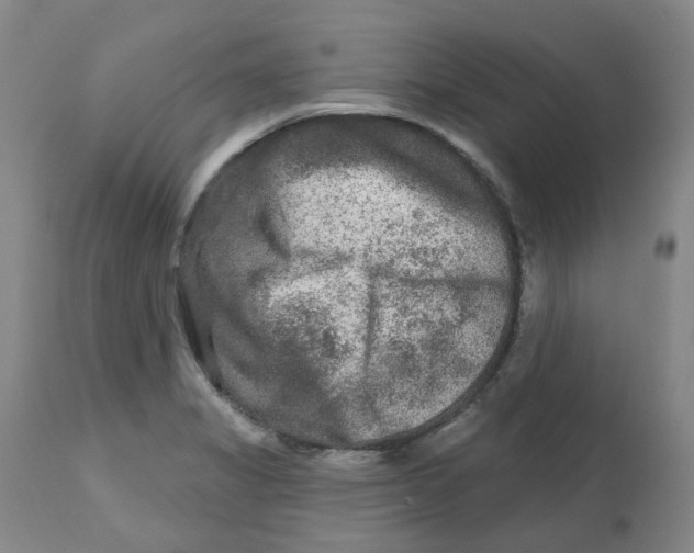X0000112801325200909181527