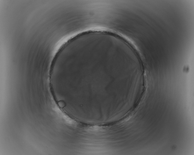 X0000112801327200909181527