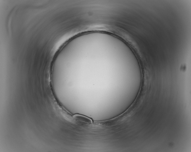 X0000112801328200909181528
