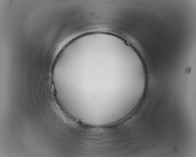 X0000112801332200909181528