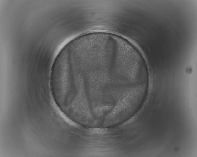 X0000112801333200909181528