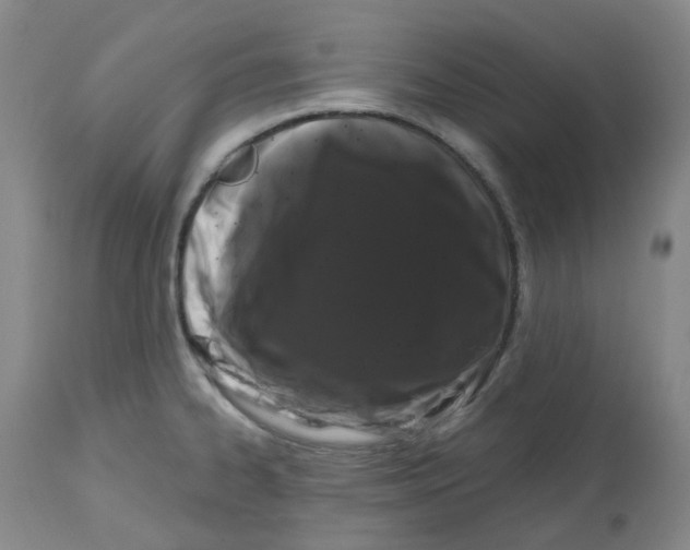 X0000112801334200909181528