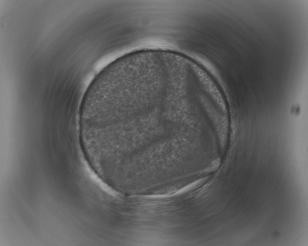 X0000112801335200909181528