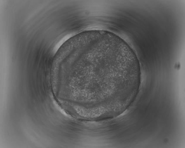 X0000112801337200909181528