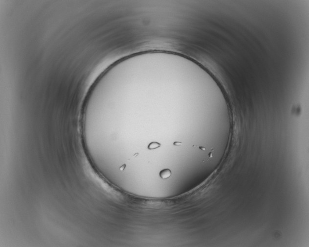 X0000112801339200909181528