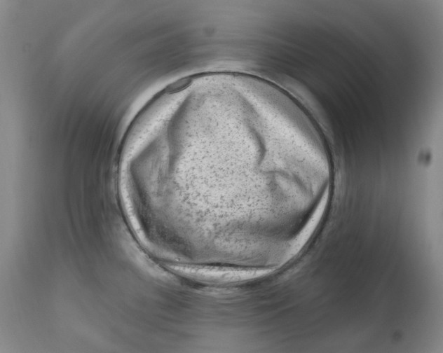 X0000112801340200909181528