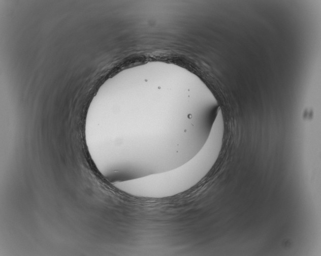 X0000112801345200909181527