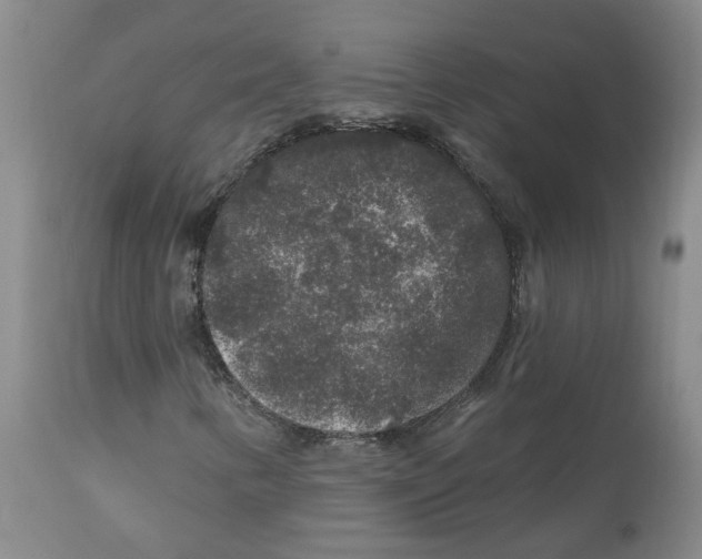 X0000112801346200909181527