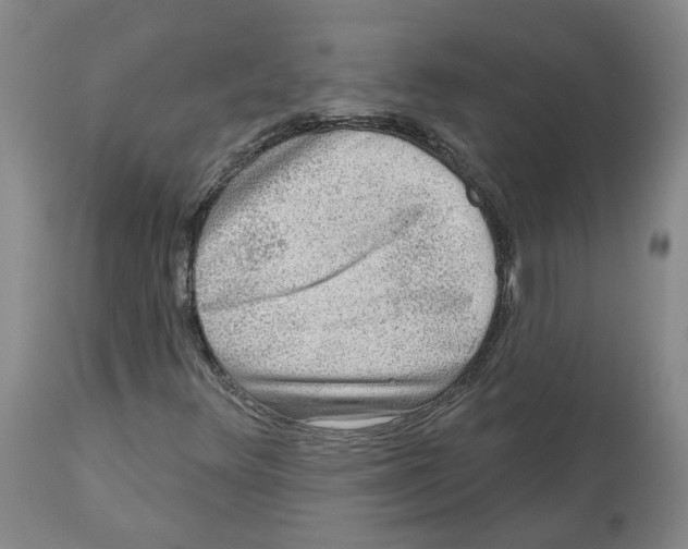 X0000112801348200909181527