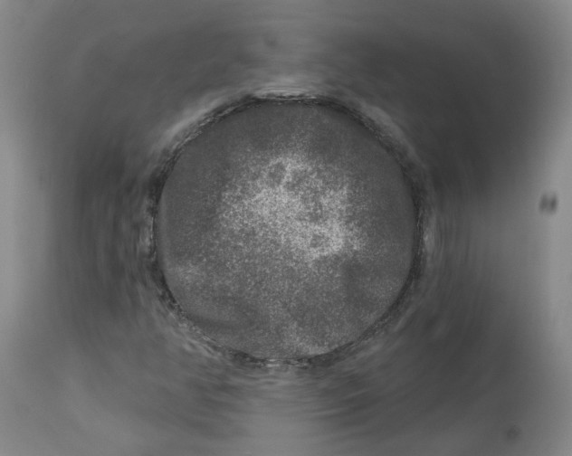 X0000112801350200909181527