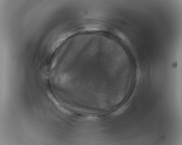 X0000112801353200909181527