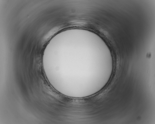 X0000112801354200909181527
