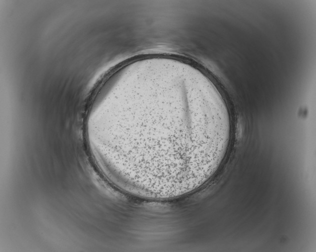 X0000112801356200909181527