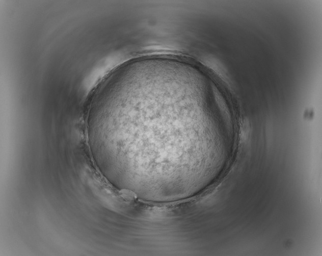 X0000112801357200909181527