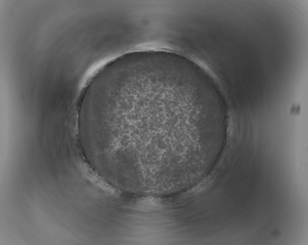 X0000112801358200909181527