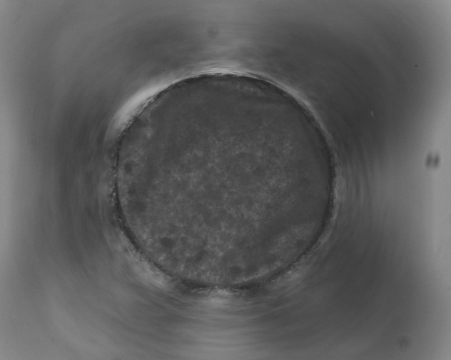 X0000112801359200909181527