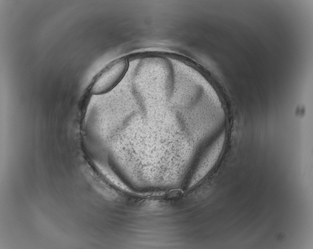 X0000112801360200909181527