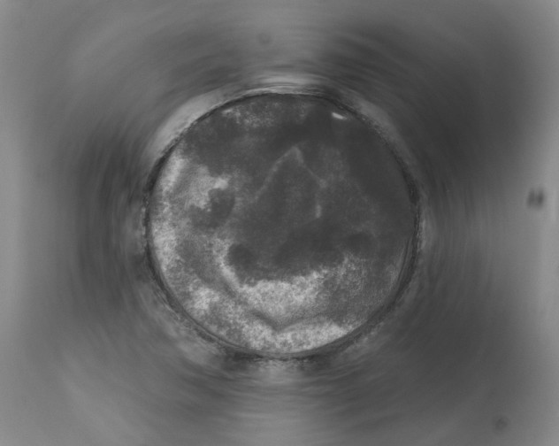 X0000112801362200909181527